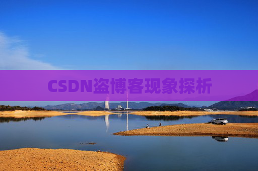 CSDN盗博客现象探析